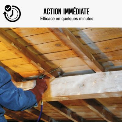 Traitement Bois Anti Vrillette du bois : Traitement des bois, charpente intérieur ou extérieur  - 5 L - ARCANE INDUSTRIES