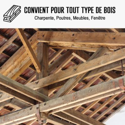 Traitement Bois Anti Vrillette du bois : Traitement des bois, charpente intérieur ou extérieur  - 5 L - ARCANE INDUSTRIES