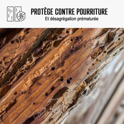 Traitement Bois Anti Vrillette du bois : Traitement des bois, charpente intérieur ou extérieur  - 5 L - ARCANE INDUSTRIES