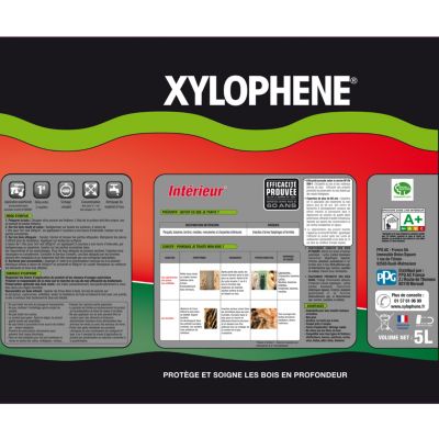 XYLOPHENE Traitement Bois & Parquet Intérieur 5L Incolore - Préventif Et Curatif Anti-Insectes & Termites