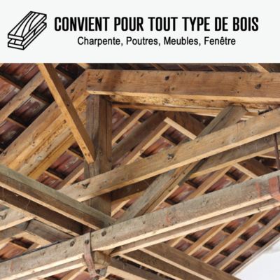 Traitement bois insectes champignons sur poutres, charpentes, parquets - ARCAPROTECT BOIS  - 5 L - ARCANE INDUSTRIES