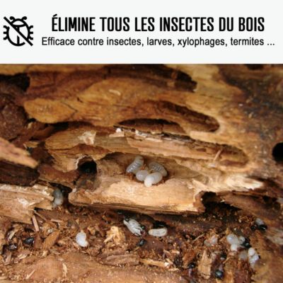 Traitement bois insectes champignons sur poutres, charpentes, parquets - ARCAPROTECT BOIS  - 5 L - ARCANE INDUSTRIES