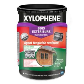 Traitement extérieur bois s Xylophene 5L