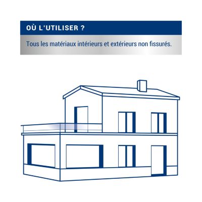 Traitement murs humides et salpêtre intérieur extérieur incolore Ripolin 0,75L