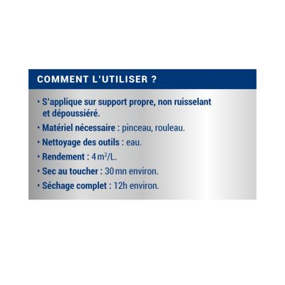 Ripolin Traitement Murs humides et Salpêtre - 0,75L, 2,5L