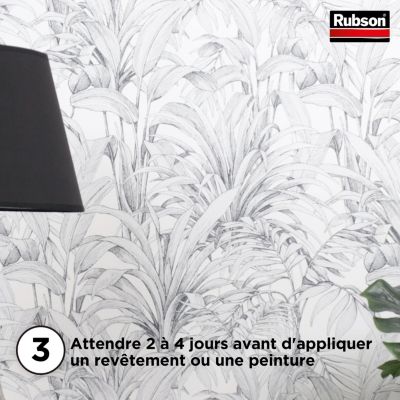Traitement Murs Humides Rubson incolore bidon 0,75L