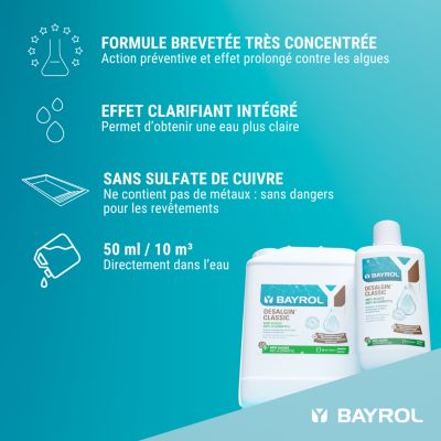Traitement pour piscine Desalgin classic Bayrol 6L