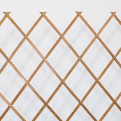 Treillis Bois 100% Bois Pin Naturelle 0,5X1,5M Gardien Des Plantes Résistant Decoration Jardin