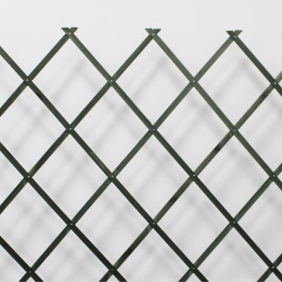 Treillis Bois Vert 100% Bois Pin 0,5X1,5M Gardien Des Plantes Résistant Decoration Jardin