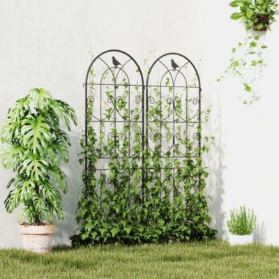 Treillis de jardin effet fer forg oiseau - 2 supports plantes grimpantes -  50 x 150 cm - mtal