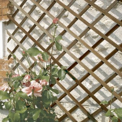 Treillis en bois extensible TRELLIWOOD 1 x 2 m Marron Nortene
