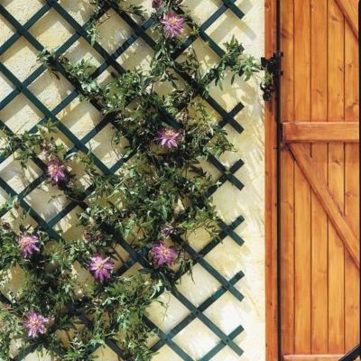 Treillis en plastique 0,5 x 1,5 vert MINI-TRELLIS
