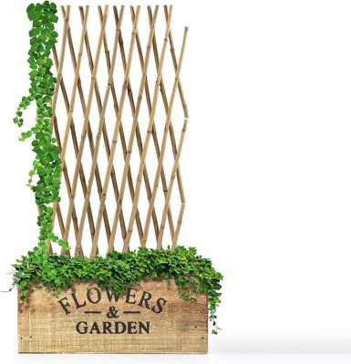 Treillis Extensible en Bambou, Support pour Plantes Grimpantes, Clôture de Jardin Décorative, Plusieurs Tailles, 60 x 180 cm