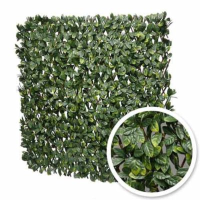 Treillis extensible feuilles de laurier amande - Long 28 m, Hauteur 3 m