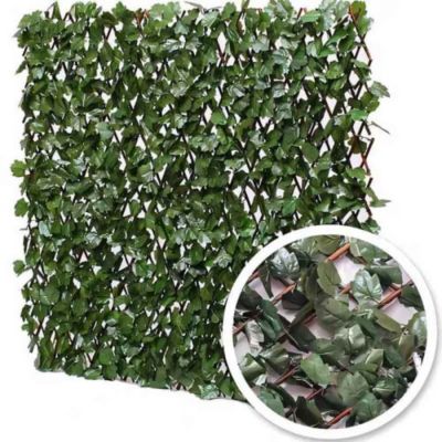 Treillis extensible feuilles de lierre, Long 18 m, Hauteur 1 m