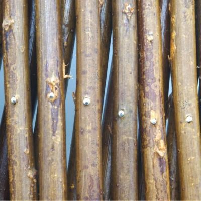 Treillis extensible NATURE en osier naturel 60 x 180 cm