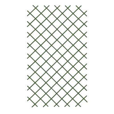 Treillis extensible pvc vert 1 x 2 m