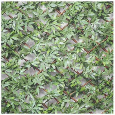 Treillis feuilles de vigne vierge , Long 24 m, Hauteur 1 m