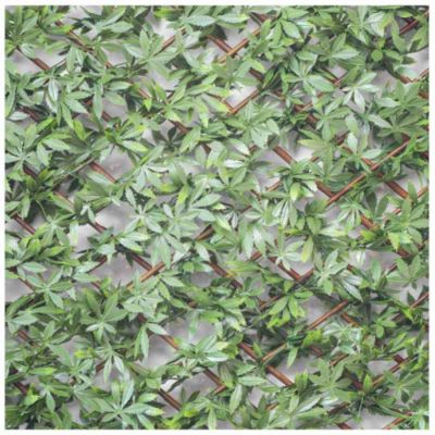 Treillis feuilles de vigne vierge , Long 6 m, Hauteur 1 m