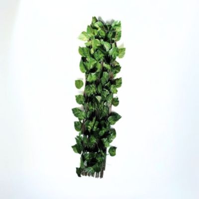 Treillis Osier Avec Feuilles Composition 100% Osier Feuilles De Lierre PVC 100 X 200 CM Arbres De Plantes Decoration Jardin