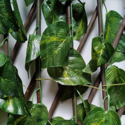 Treillis Osier Avec Feuilles Composition 100% Osier Feuilles De Lierre PVC 100 X 200 CM Arbres De Plantes Decoration Jardin