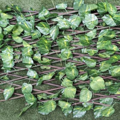 Treillis Osier Avec Feuilles Composition 100% Osier Feuilles De Lierre PVC 100 X 200 CM Arbres De Plantes Decoration Jardin