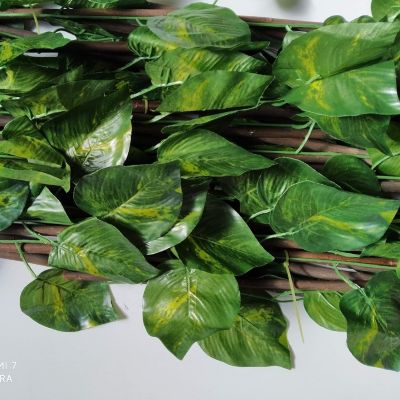 Treillis Osier Avec Feuilles Composition 100% Osier Feuilles De Lierre PVC 100 X 200 CM Arbres De Plantes Decoration Jardin