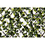 Treillis osier avec fleurs artificielles jasmin L.2 x l.1 m