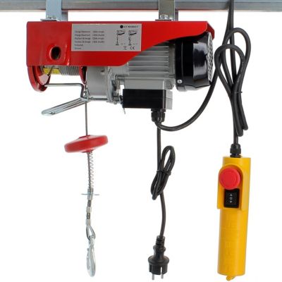 Treuil palan électrique 125 / 250 kg avec télécommande - GT MARKET