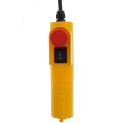 Treuil palan électrique 125 / 250 kg avec télécommande - GT MARKET