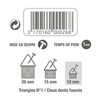 Triangle N°2 avec pointes vendu par 8 pièces