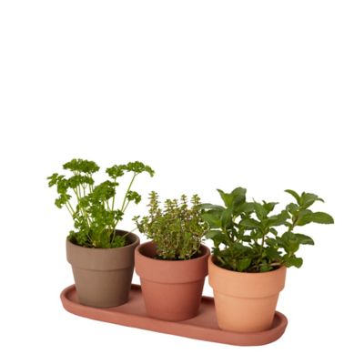 Trio de pots pour plantes aromatiques terre cuite ø9 cm