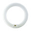 Tube fluorescent circulaire G10Q 32W blanc froid