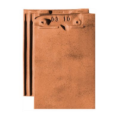 Tuile Beauvoise flammé rustique Edilians Castorama — free download