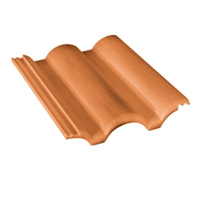 Tuile Plein Ciel provence 330 x 420 mm Monier