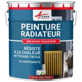 Turquoise Pastel - RAL 6034 - 1 kg (jusqu'à 5 m² en 2 couches) - ARCANE INDUSTRIES