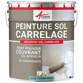 Turquoise Pastel - RAL 6034 - 1 kg (jusqu'à 5 m² en 2 couches) - ARCANE INDUSTRIES