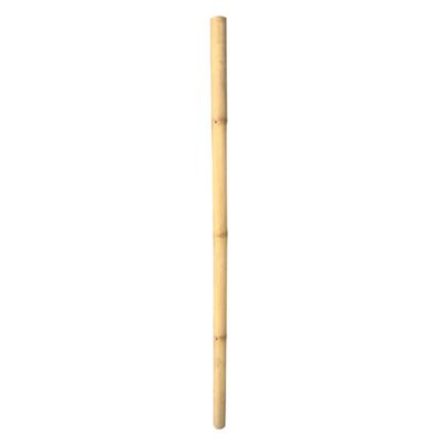 Tuteur bambou déco Ø6-8 x H.200 cm Jany France