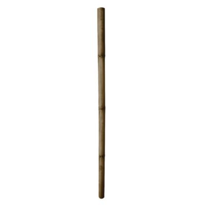 Tuteur bambou déco Ø7-9 x H.200 cm Jany France