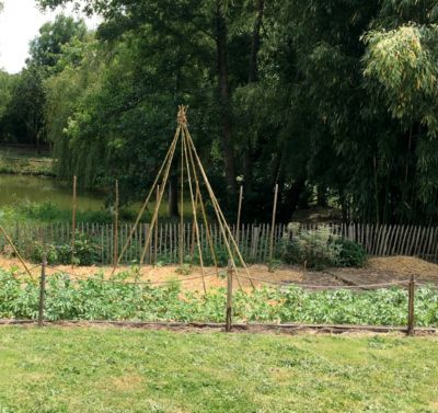 Tuteur bambou déco Ø7-9 x H.200 cm Jany France