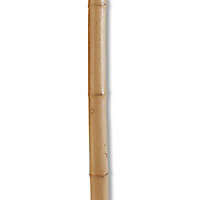 Tuteur bambou naturel NORTENE ø35mm h.295cm