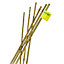 Tuteur bambou naturel Nortene ø6-8 mm h.60 cm