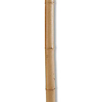Tuteur bambou naturel NORTENE ø80mm h.295cm