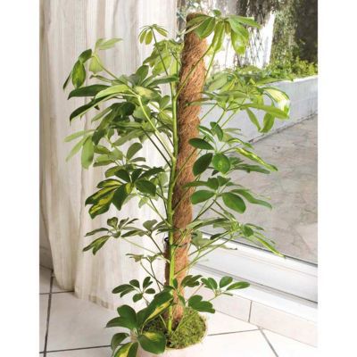 Tuteur mousse coco Nortene ø45mm h.1 m