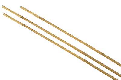 Tuteur pour plante en bambou H.150 cm (lot de 3)