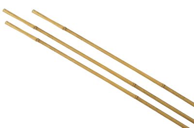 Relaxdays Canne di bambù 105 cm, Set 40 Bastoni D