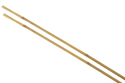 Tuteur pour plante en bambou H.180 cm (lot de 2)