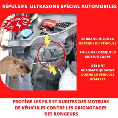 Ultrasons répulsifs anti-rongeurs Acto spécial pour automobiles