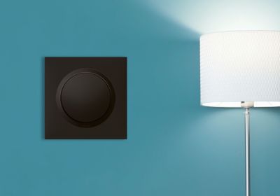 Va-et-vient 10AX 250V Legrand Dooxie noir