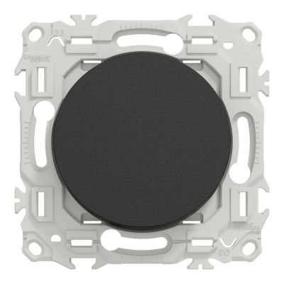 Va-et-vient ou poussoir, 10AX, noir onyx, Odace